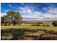 171 Egerton Road, White Hills TAS 7258