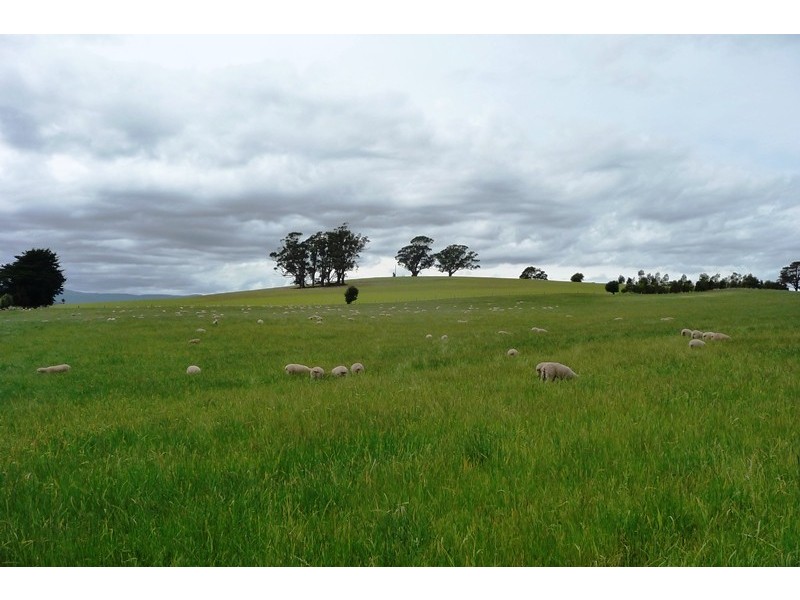 171 Egerton Road, White Hills TAS 7258