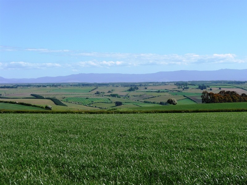 183 Egerton Road, White Hills TAS 7258