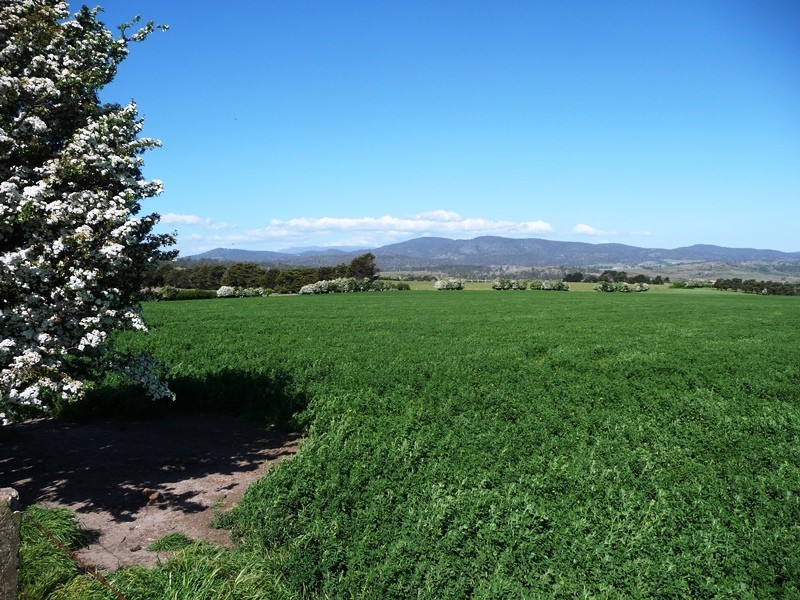 183 Egerton Road, White Hills TAS 7258
