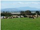 183 Egerton Road, White Hills TAS 7258