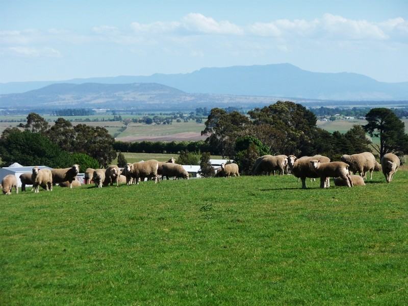 183 Egerton Road, White Hills TAS 7258