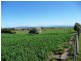 183 Egerton Road, White Hills TAS 7258
