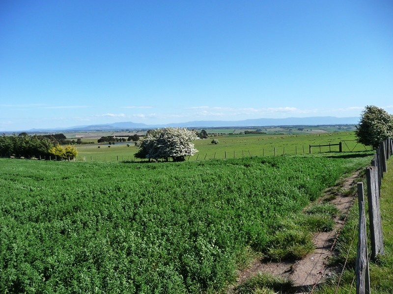 183 Egerton Road, White Hills TAS 7258