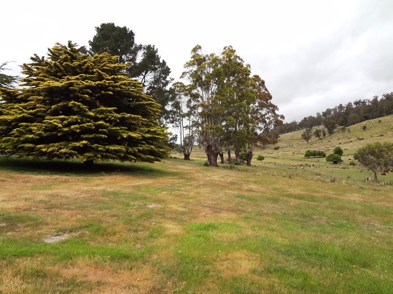 2109 Deddington Road, Blessington TAS 7212