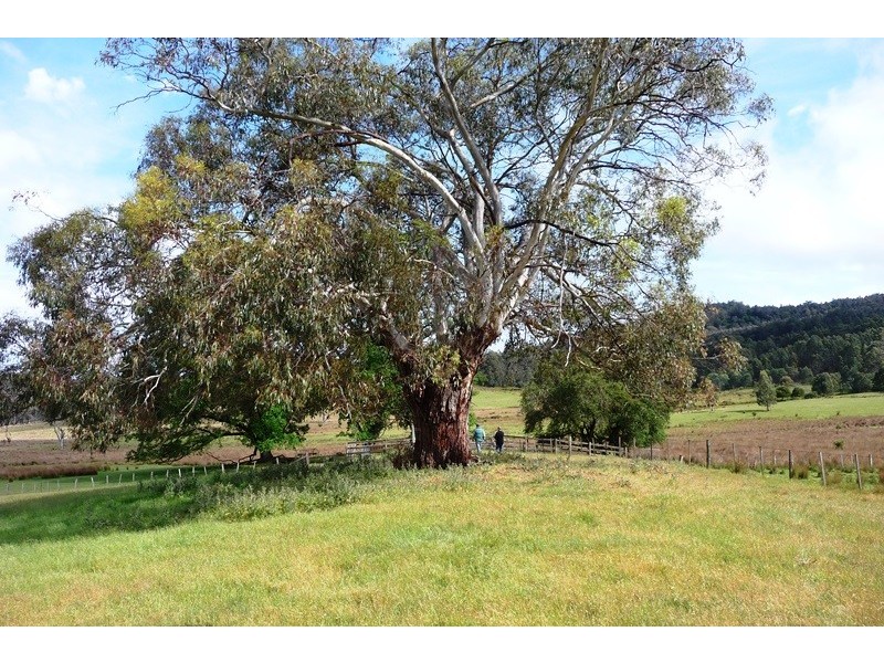 2109 Deddington Road, Blessington TAS 7212