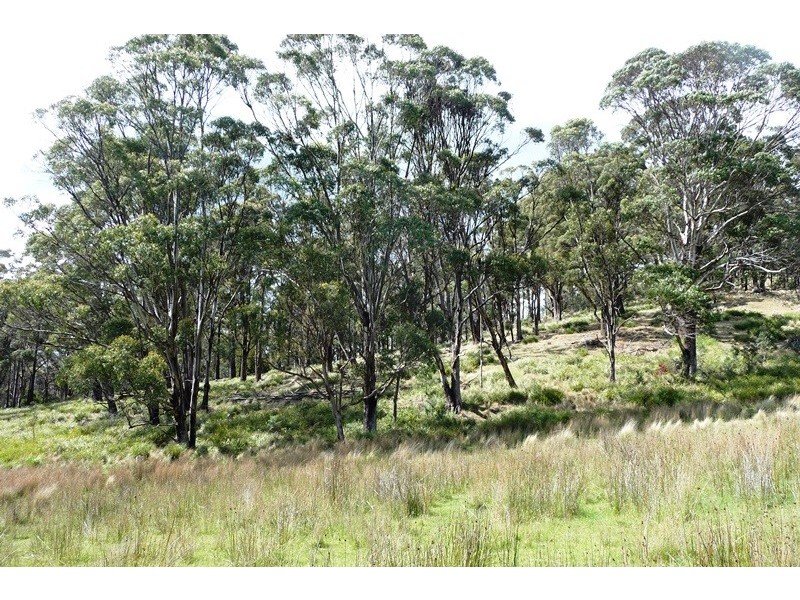 2109 Deddington Road, Blessington TAS 7212