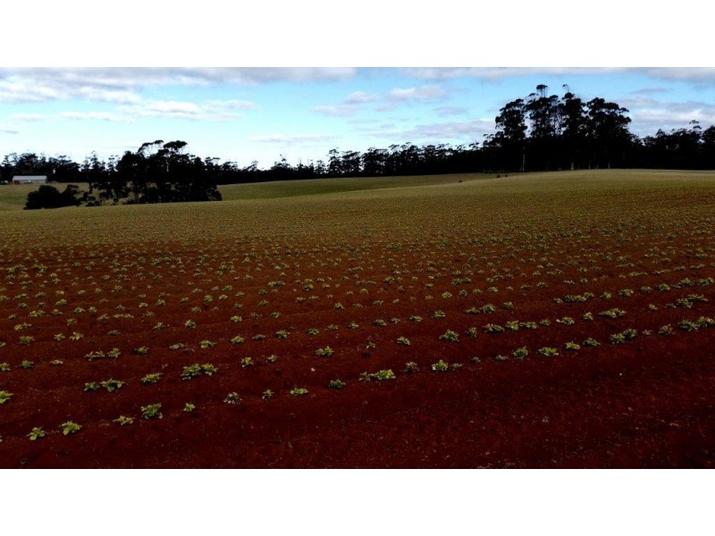 348 and 370 Ferny Bridge Road, Forest TAS 7330