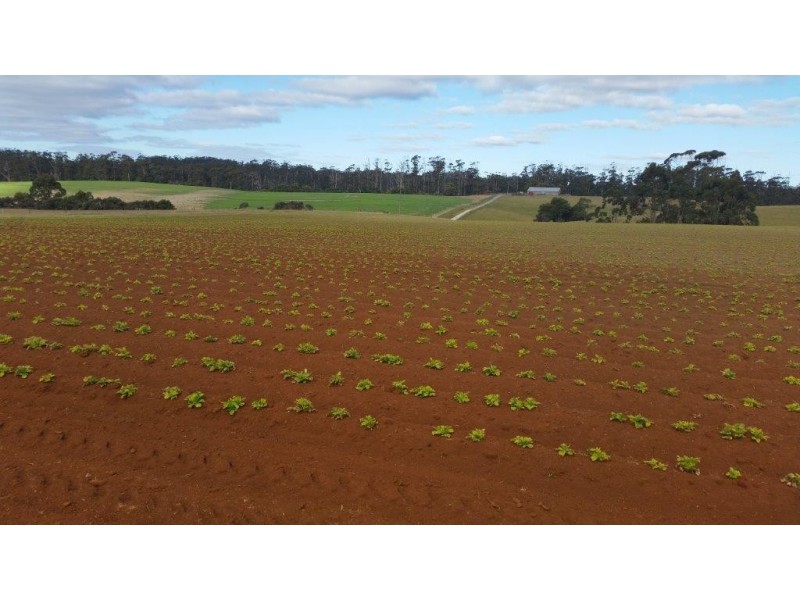 348 and 370 Ferny Bridge Road, Forest TAS 7330