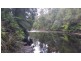 348 and 370 Ferny Bridge Road, Forest TAS 7330