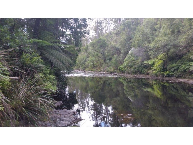 348 and 370 Ferny Bridge Road, Forest TAS 7330