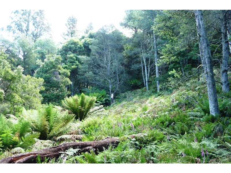 1735 Upper Esk Road, Upper Esk TAS 7214