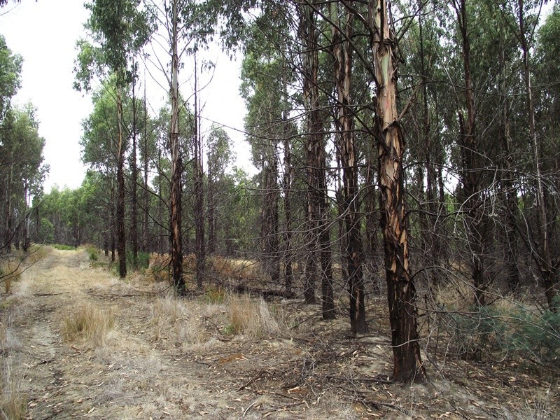 70 Blue Hills Road, Copping TAS 7174