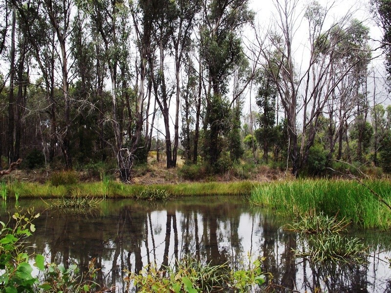 70 Blue Hills Road, Copping TAS 7174