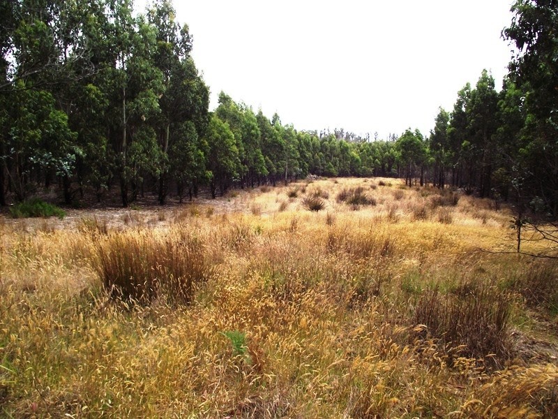 70 Blue Hills Road, Copping TAS 7174