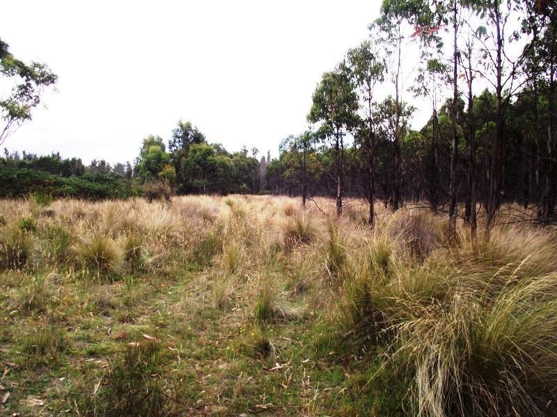 70 Blue Hills Road, Copping TAS 7174