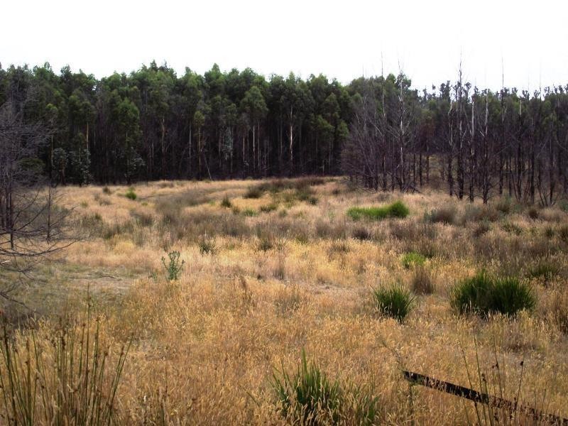 70 Blue Hills Road, Copping TAS 7174