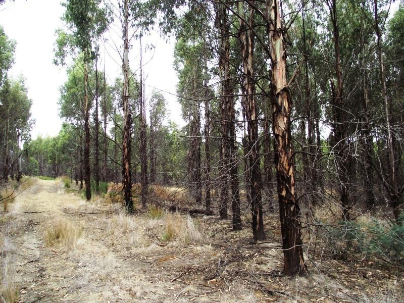 70 Blue Hills Road, Copping TAS 7174