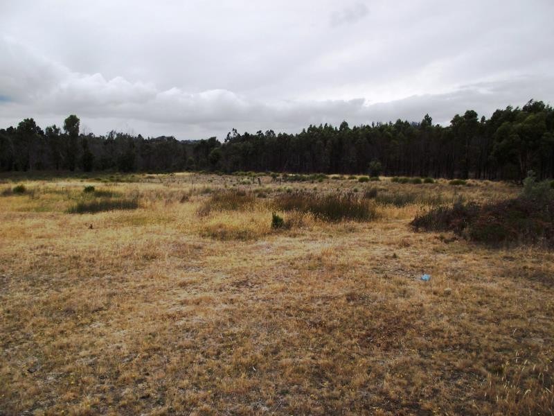 70 Blue Hills Road, Copping TAS 7174