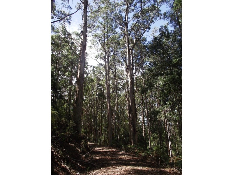 . Harwoods Road, Geeveston TAS 7116