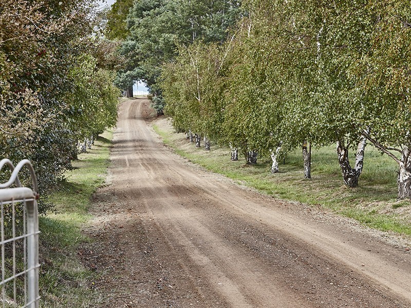 9 East Street, Westbury TAS 7303