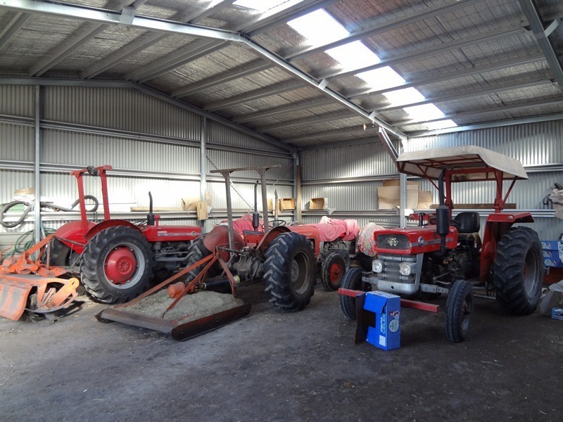 35 Emily Street, Bridport TAS 7262