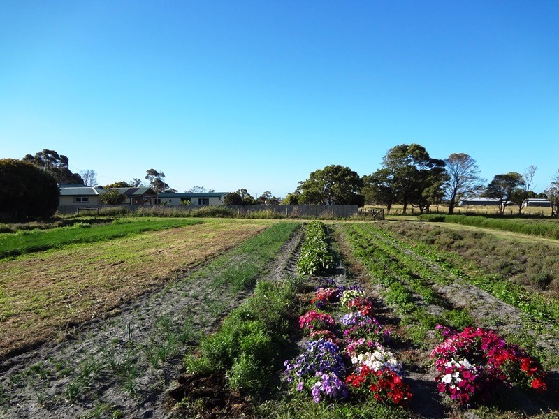 . Emily Street, Bridport TAS 7262