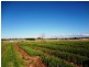 . Emily Street, Bridport TAS 7262