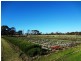 . Emily Street, Bridport TAS 7262