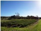 . Emily Street, Bridport TAS 7262