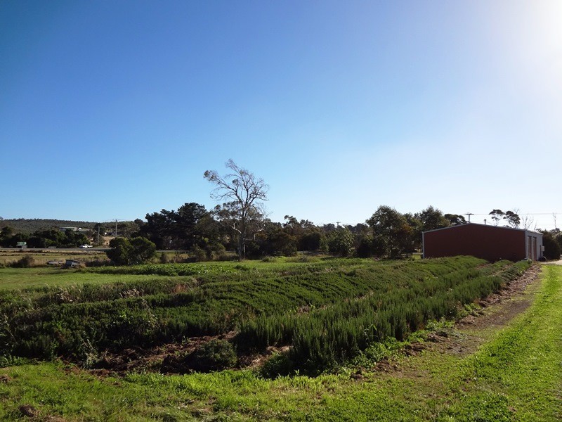 . Emily Street, Bridport TAS 7262