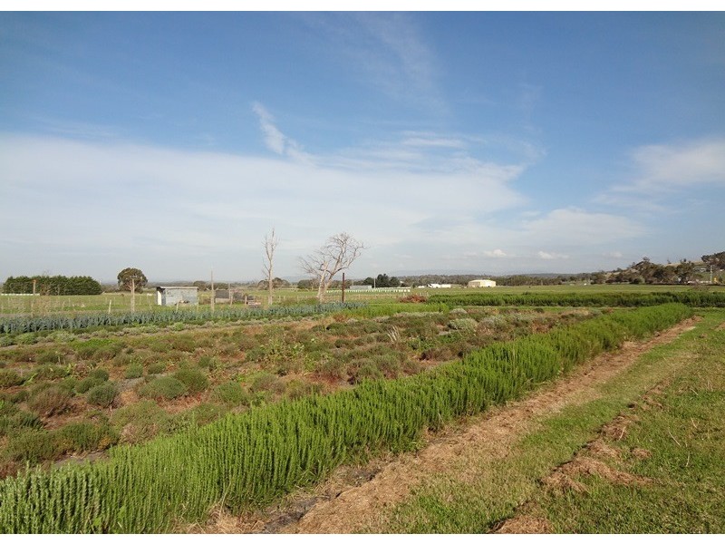 . Emily Street, Bridport TAS 7262