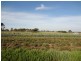 . Emily Street, Bridport TAS 7262