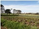 . Emily Street, Bridport TAS 7262