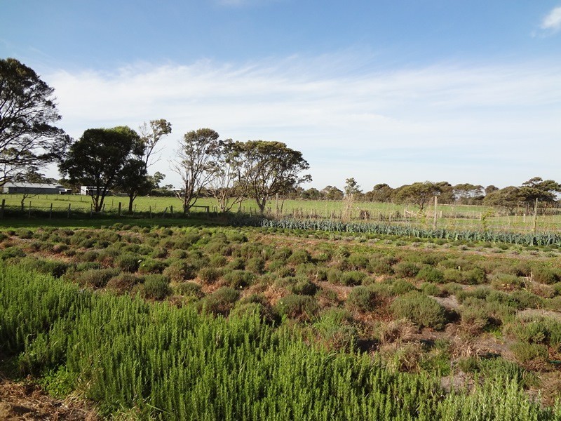 . Emily Street, Bridport TAS 7262