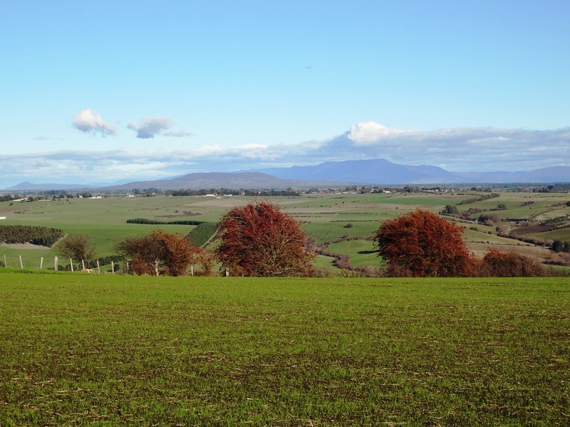 195 White Hills Road, White Hills TAS 7258