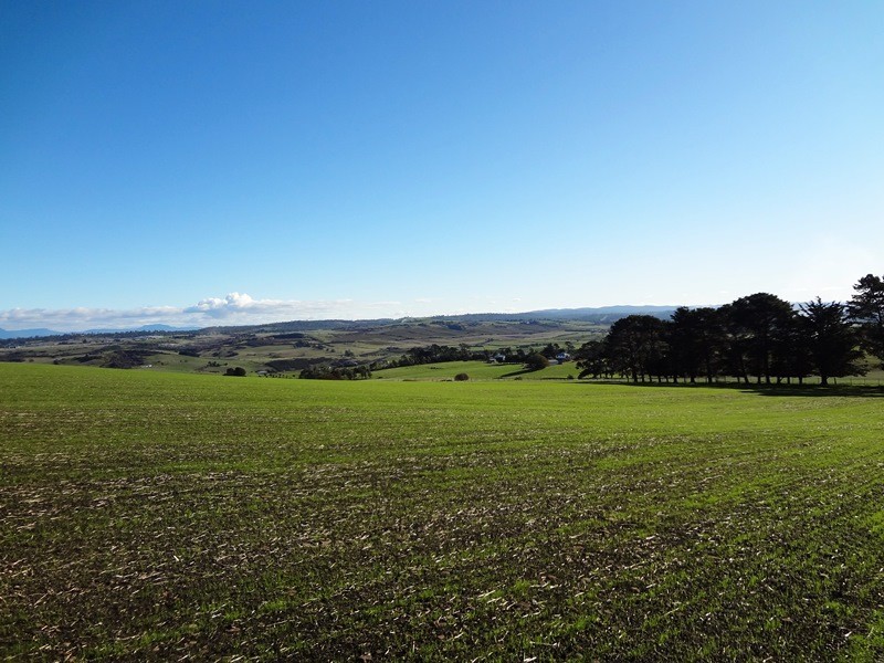 195 White Hills Road, White Hills TAS 7258