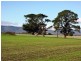 195 White Hills Road, White Hills TAS 7258