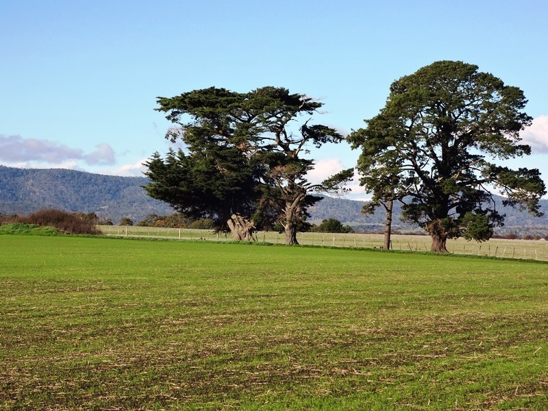 195 White Hills Road, White Hills TAS 7258