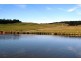 265 Tarleton Road, Tarleton, Spreyton TAS 7310