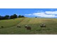 265 Tarleton Road, Tarleton, Spreyton TAS 7310