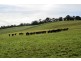 265 Tarleton Road, Tarleton, Spreyton TAS 7310