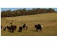 265 Tarleton Road, Tarleton, Spreyton TAS 7310