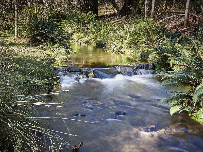 233 Camden Hill Road, Targa TAS 7259