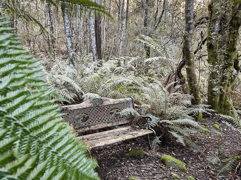 233 Camden Hill Road, Targa TAS 7259