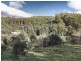 233 Camden Hill Road, Targa TAS 7259