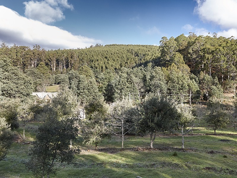 233 Camden Hill Road, Targa TAS 7259