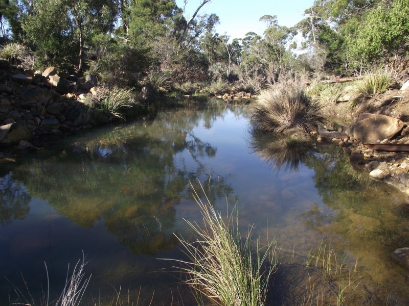 . Tasman Highway, Little Swanport TAS 7190