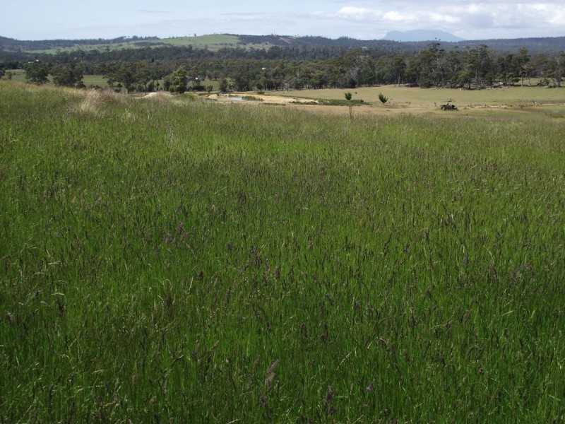 . Tasman Highway, Little Swanport TAS 7190
