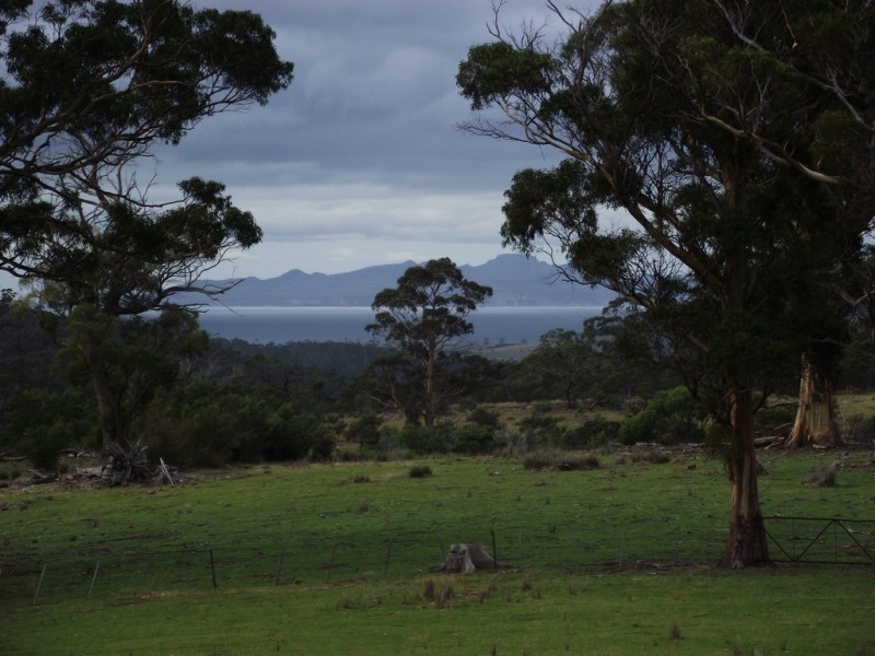 . Bresnehans Road, Little Swanport TAS 7190